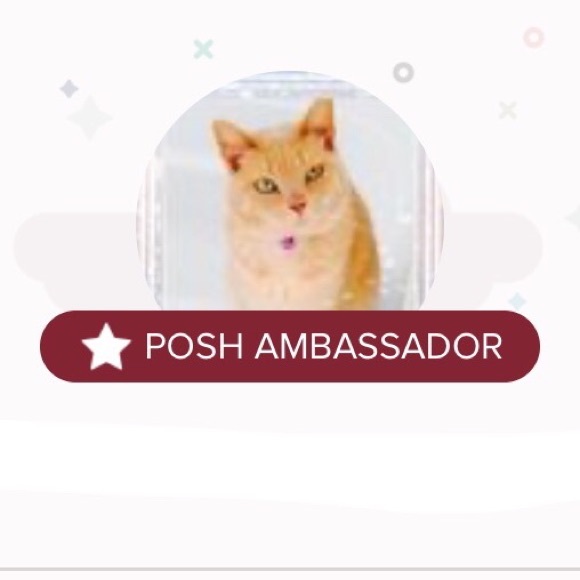 Meet your Posher, Tracey - Picture 2 of 8